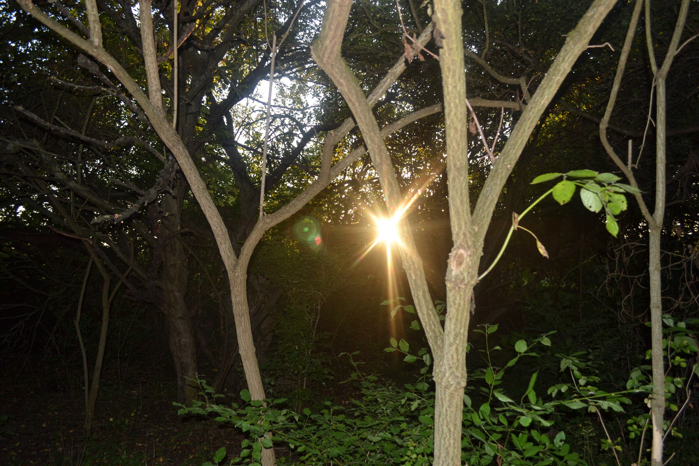 Dusk