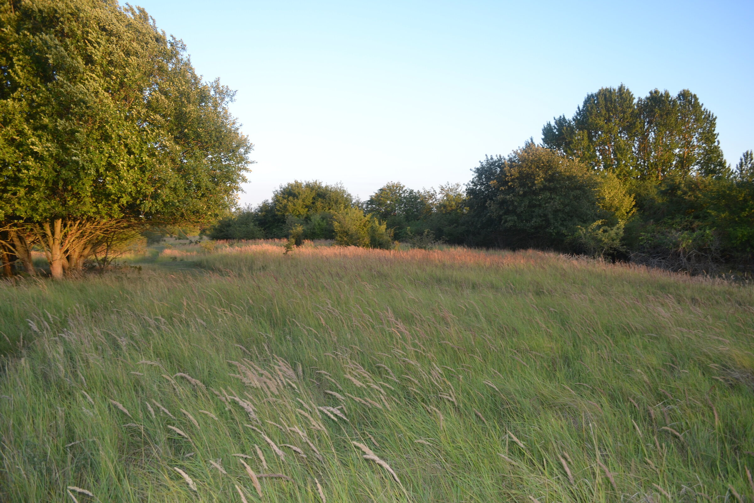 Valbyparken