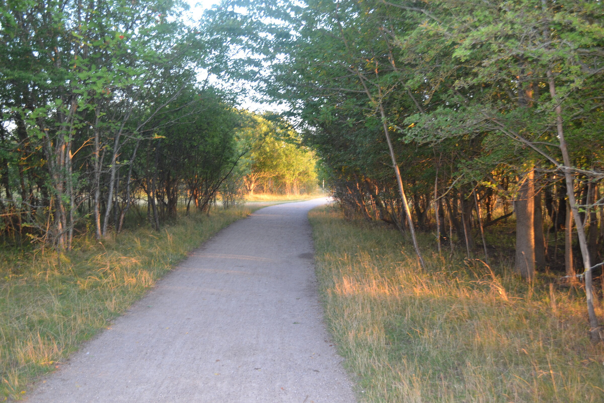 Valbyparken