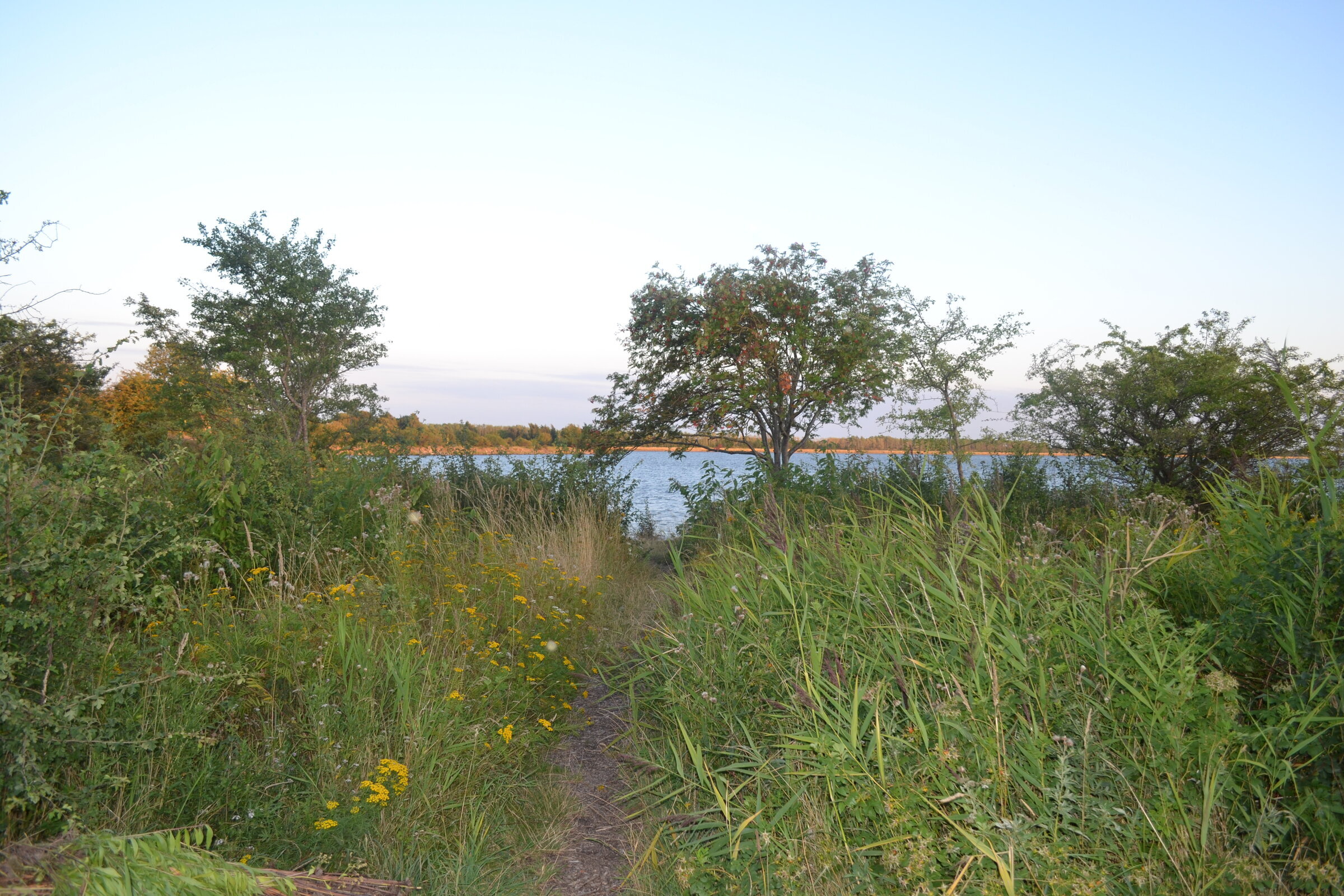 Valbyparken