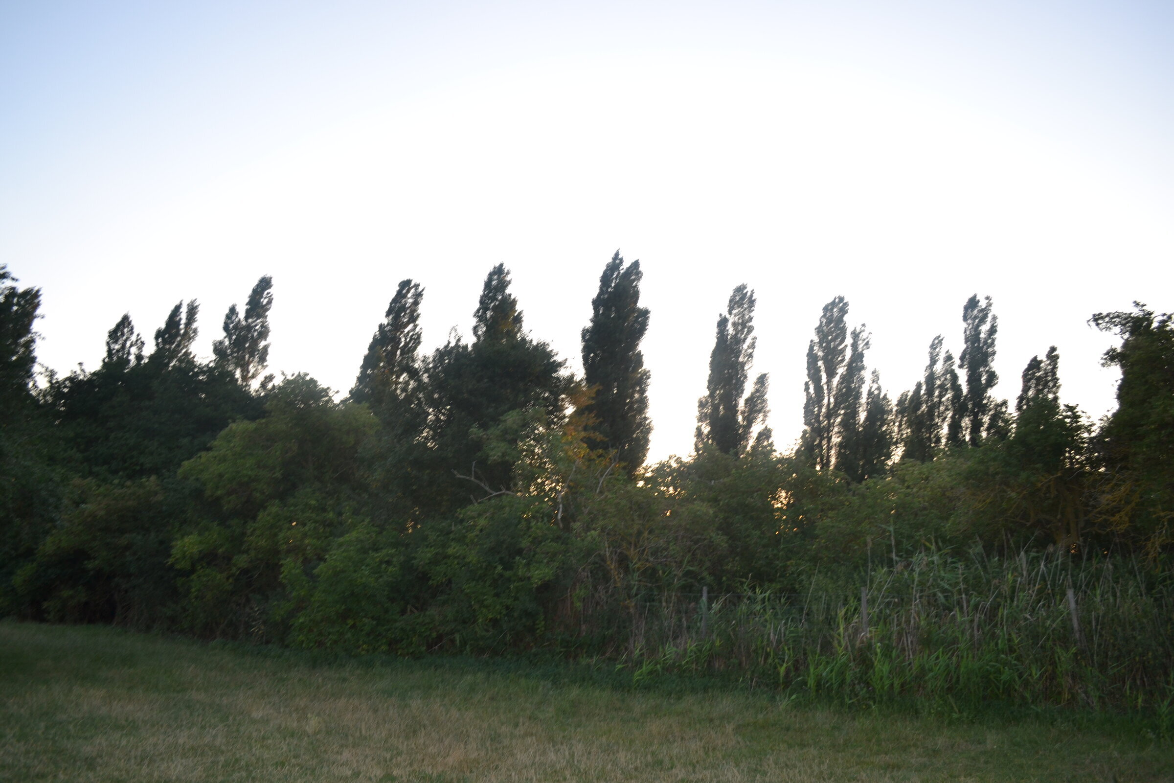 Valbyparken