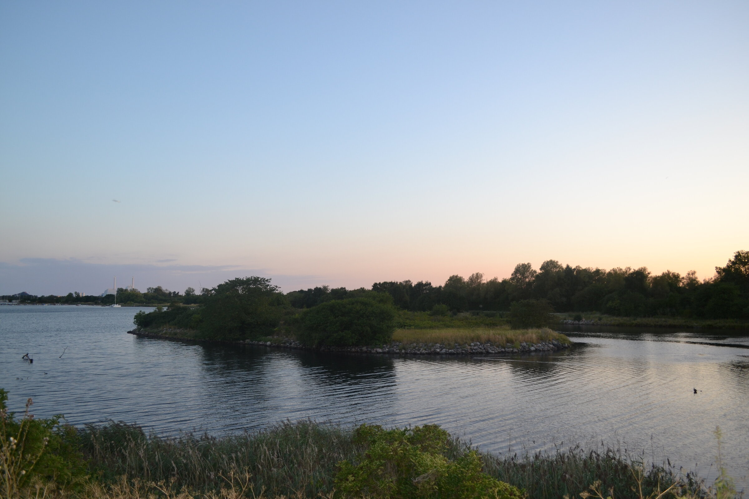 Fugleø
