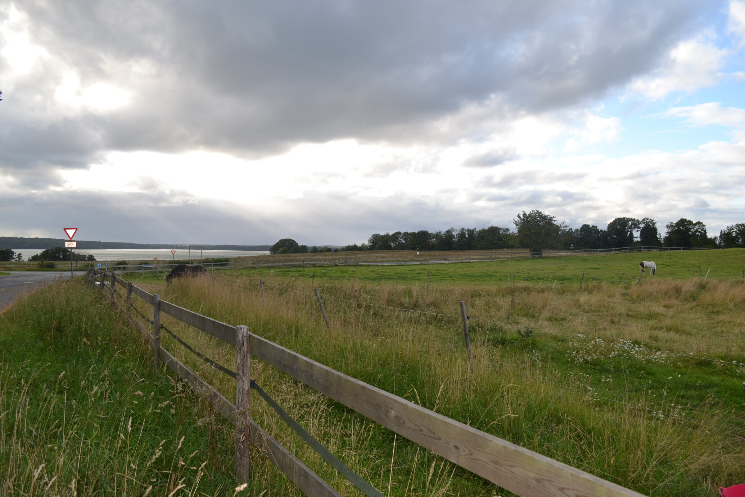 Fence line