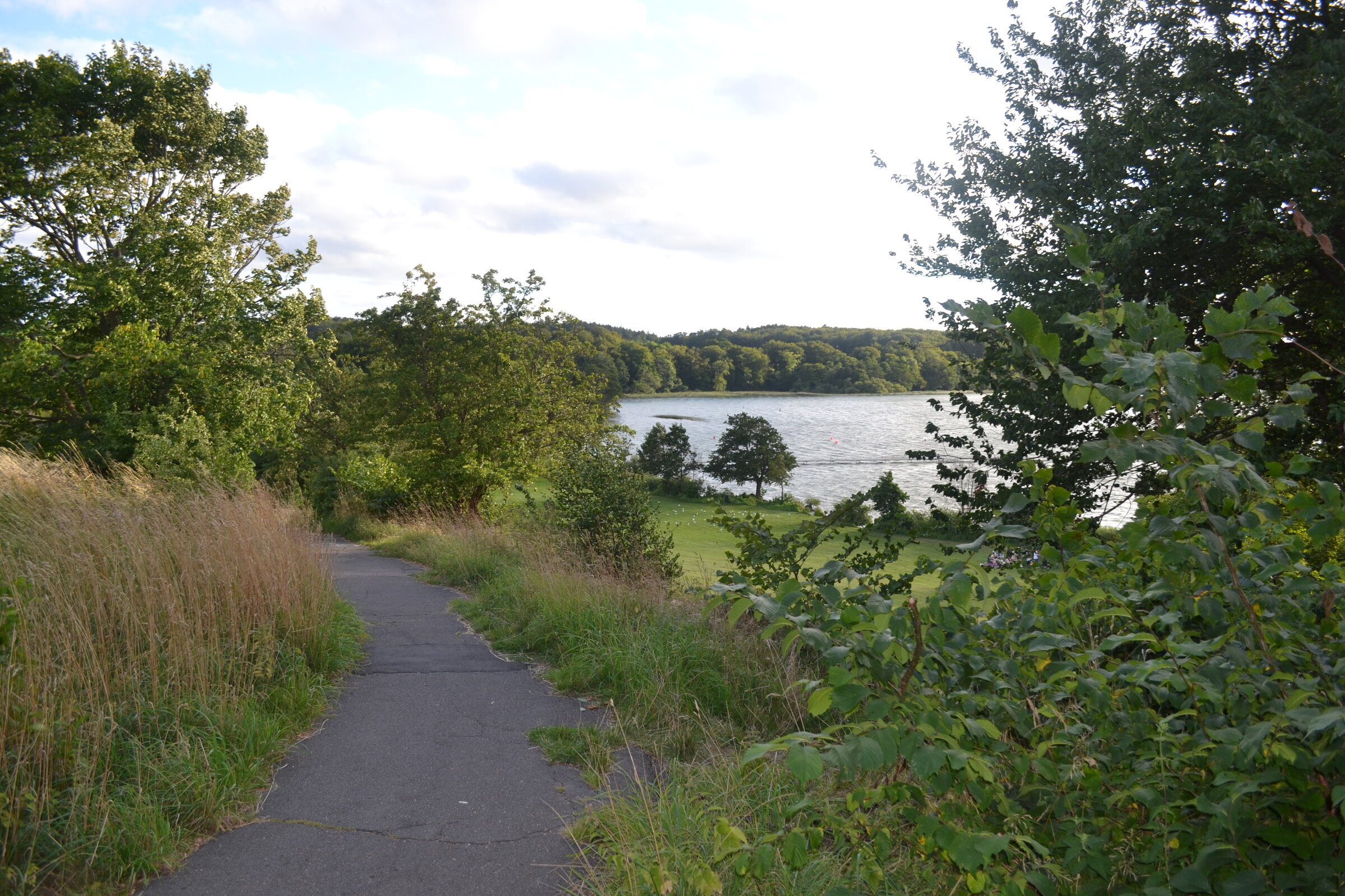 Path to the lake
