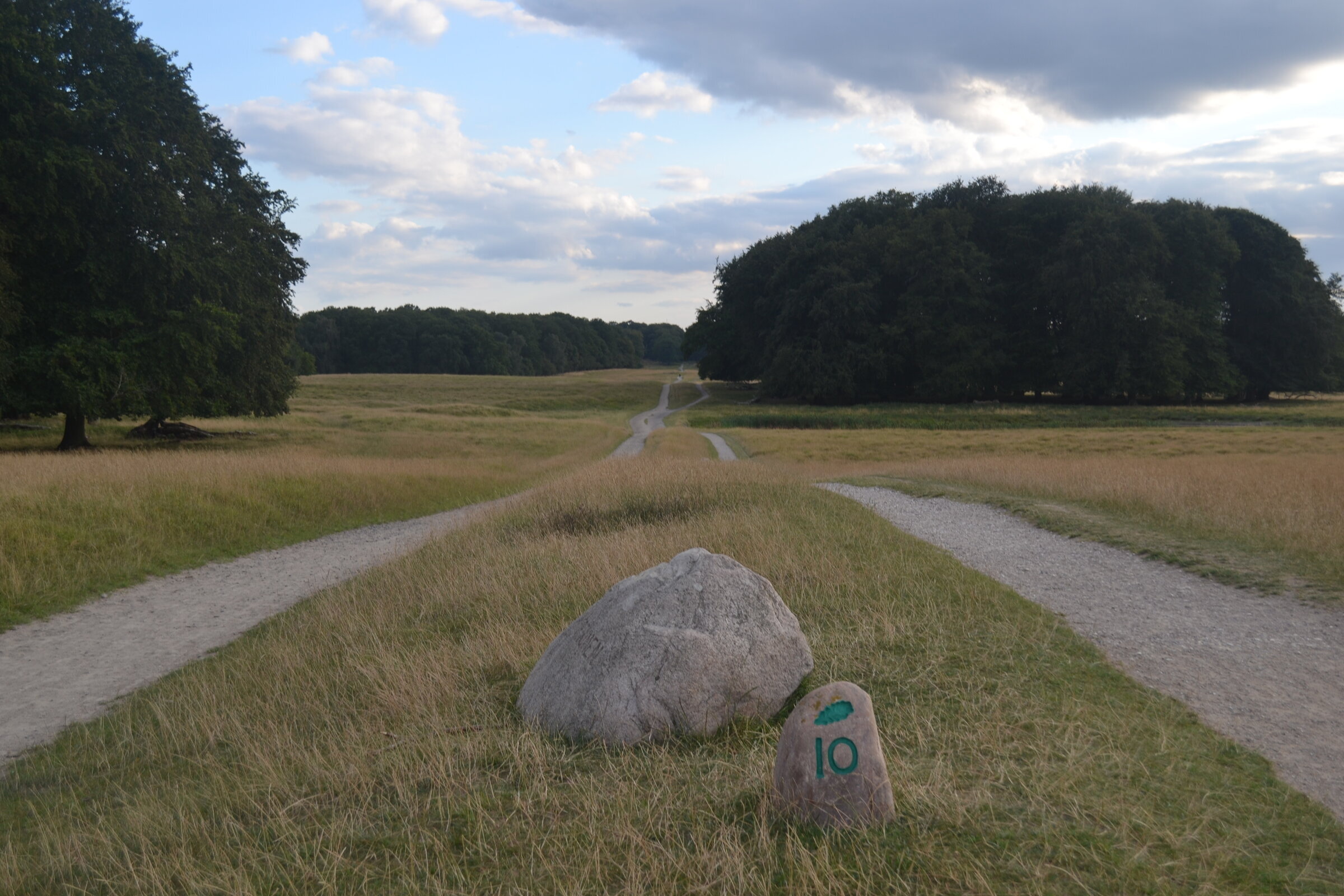 Crossing paths