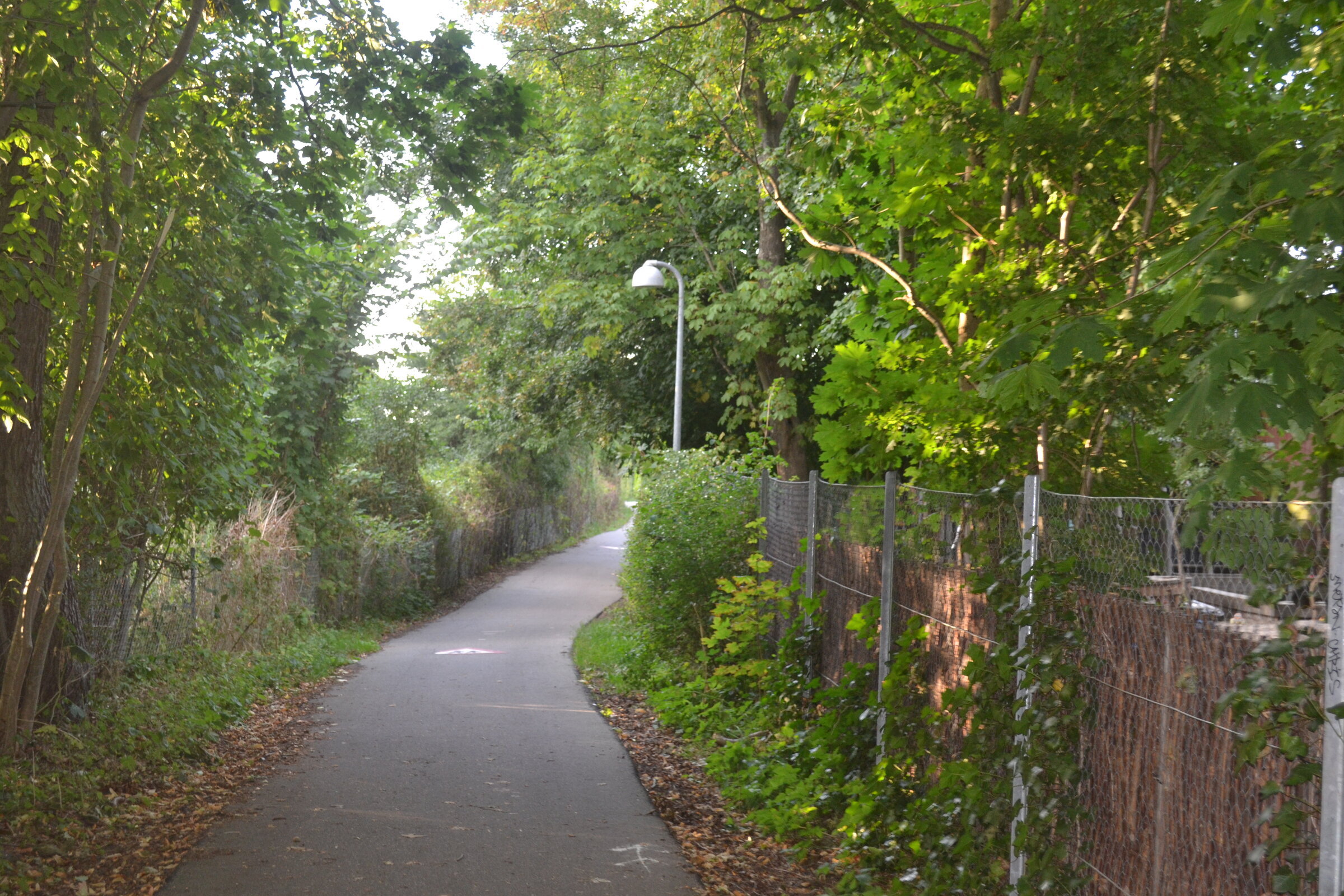 Path