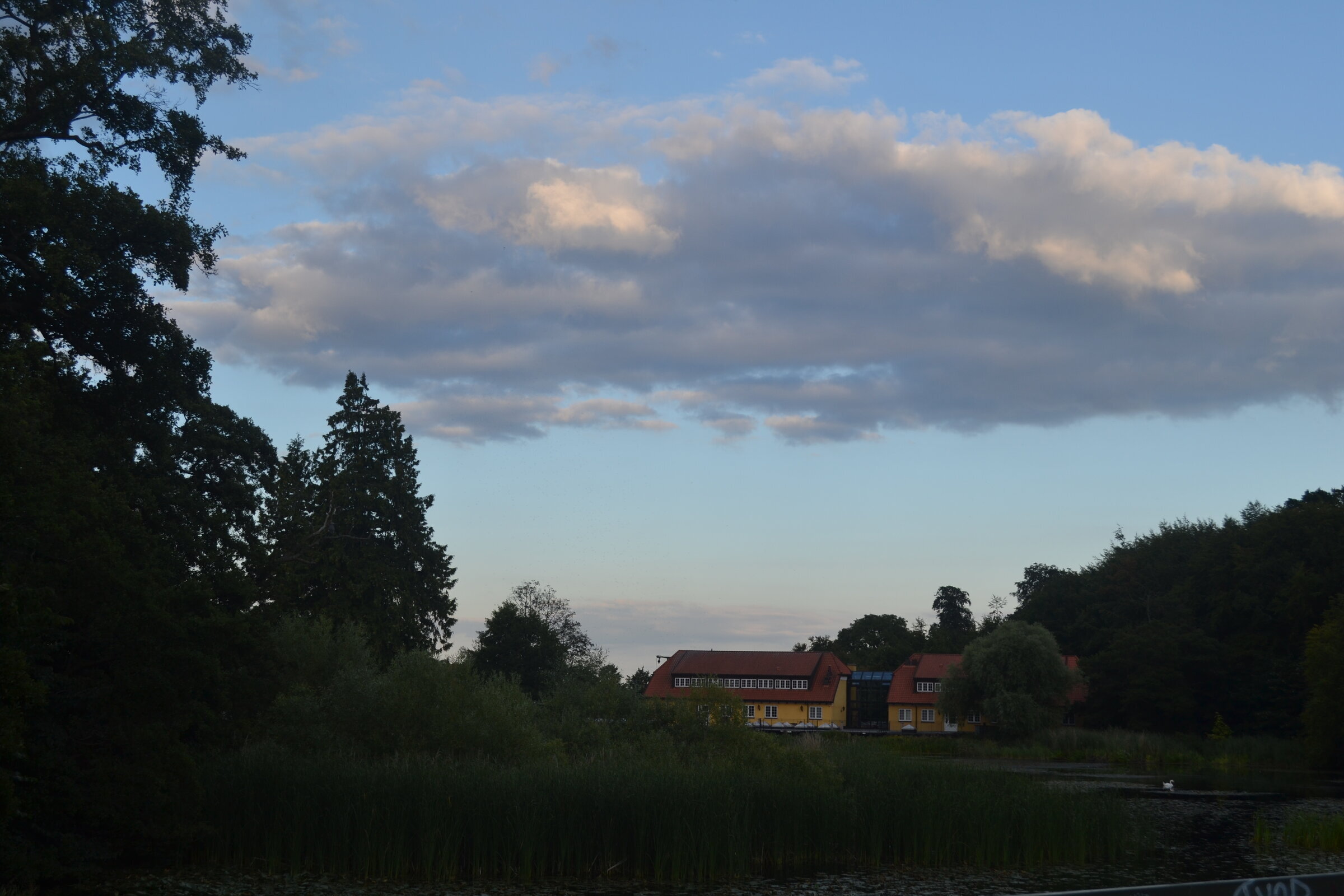 Dusk