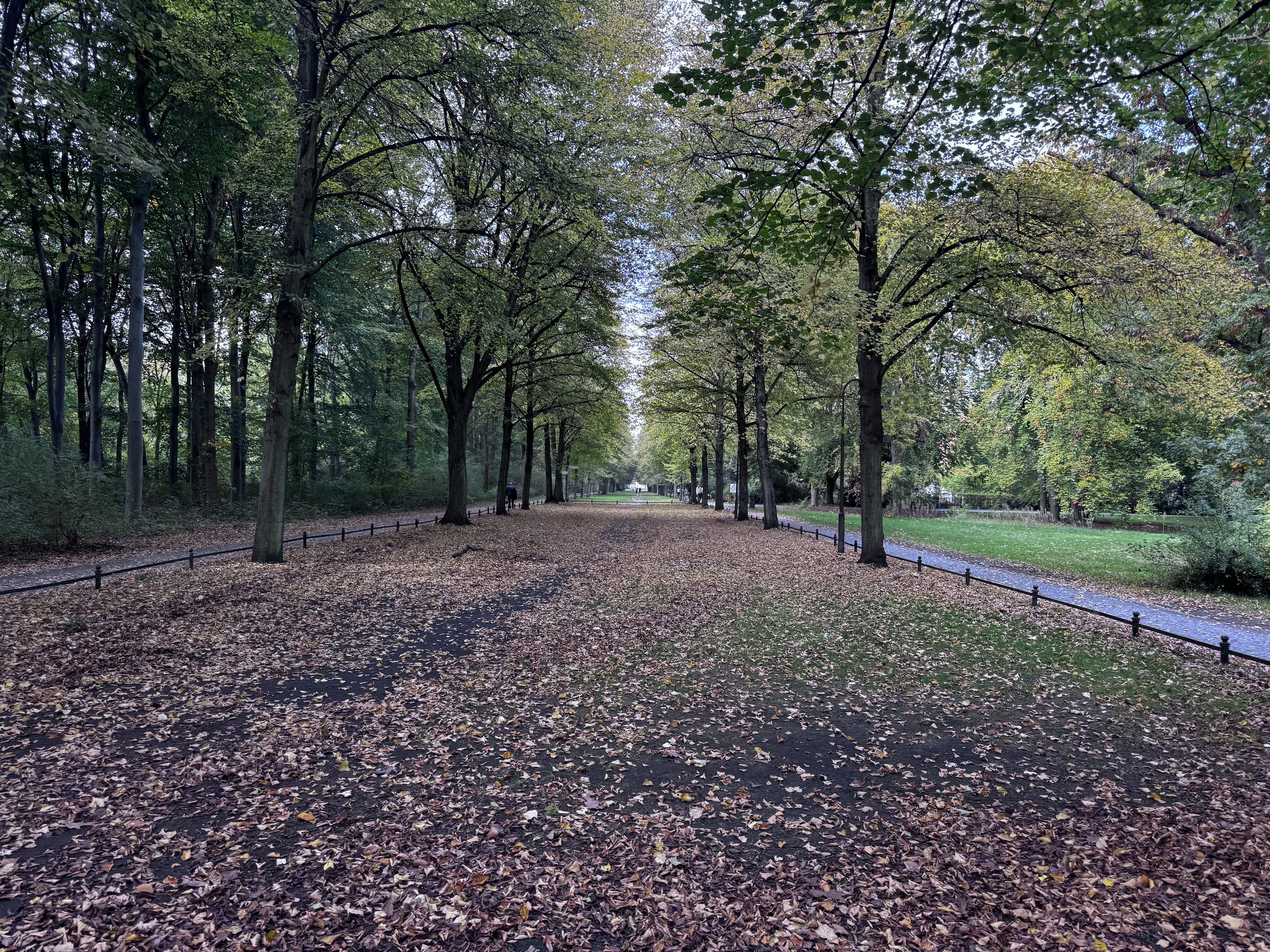 Allee im Tiergarten