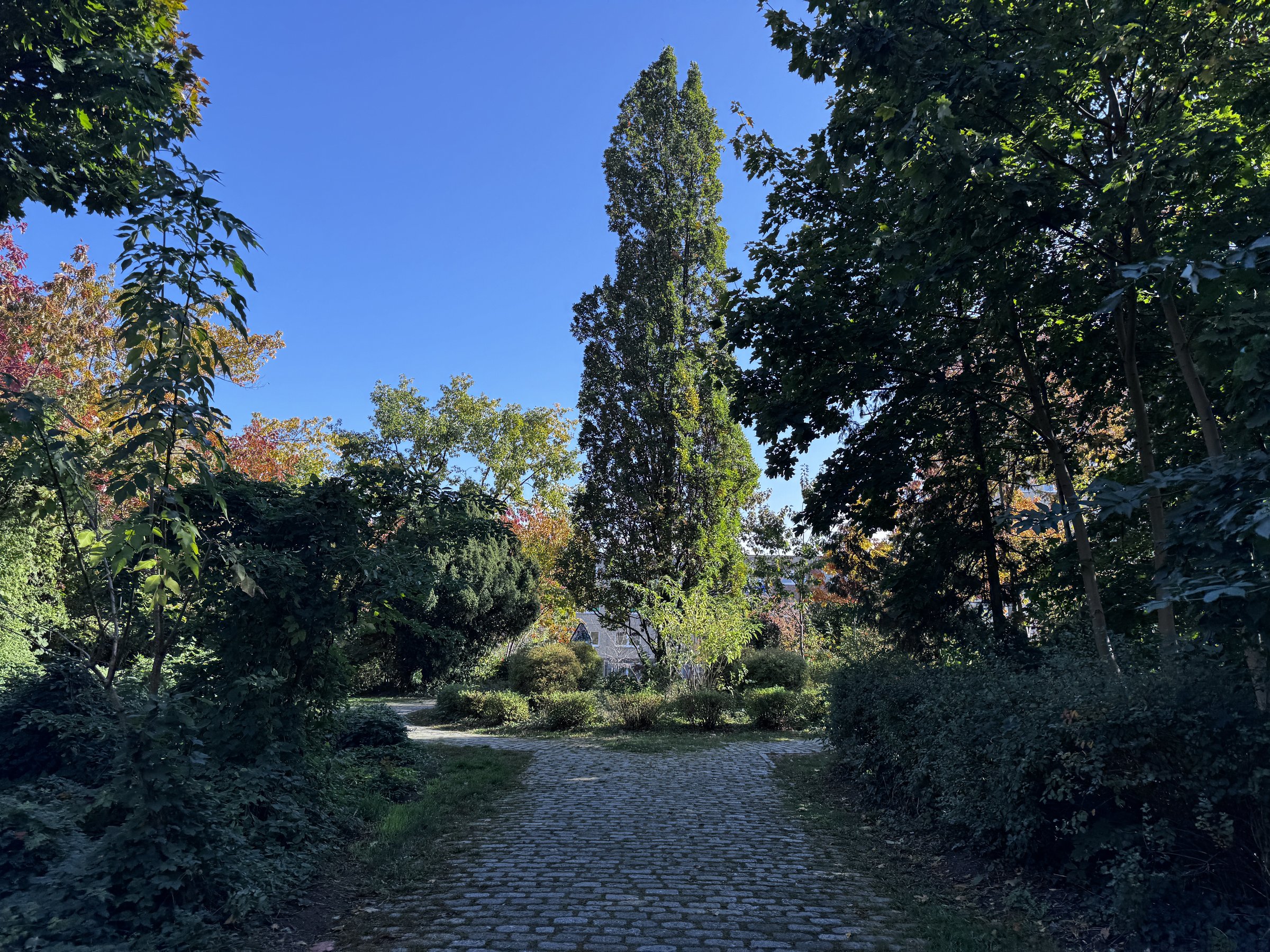 Wilder Garten