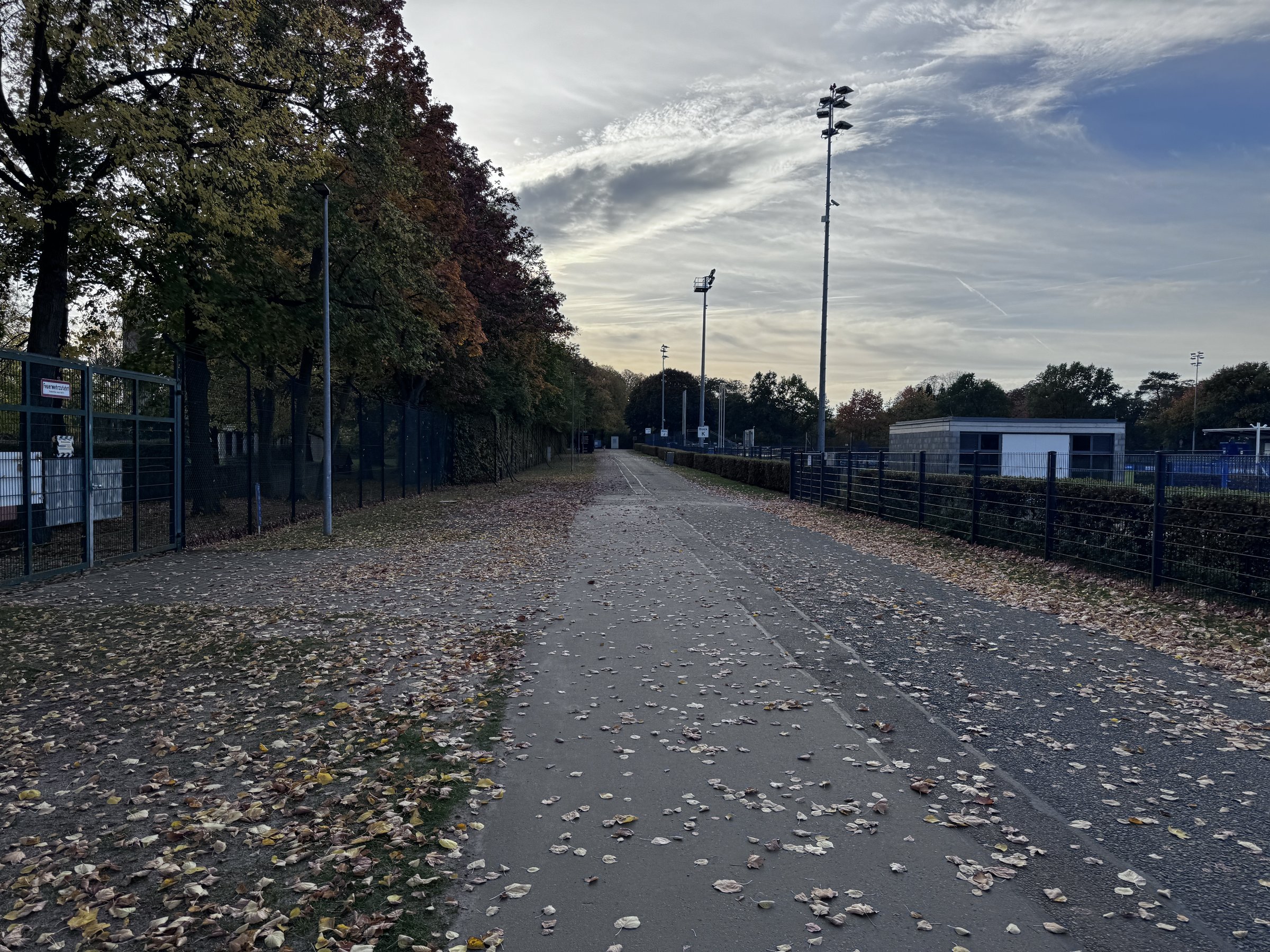 Allee im Herbst