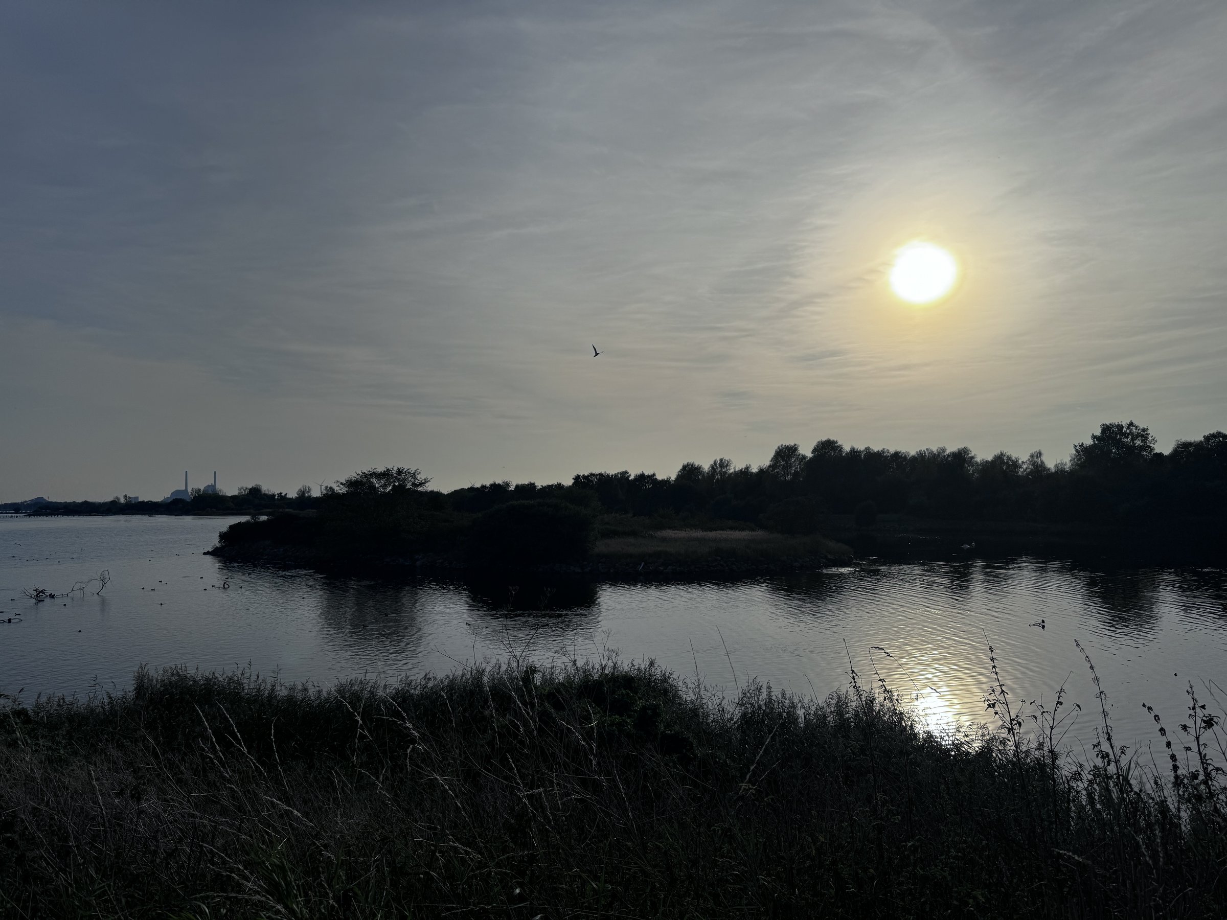 Valbyparken