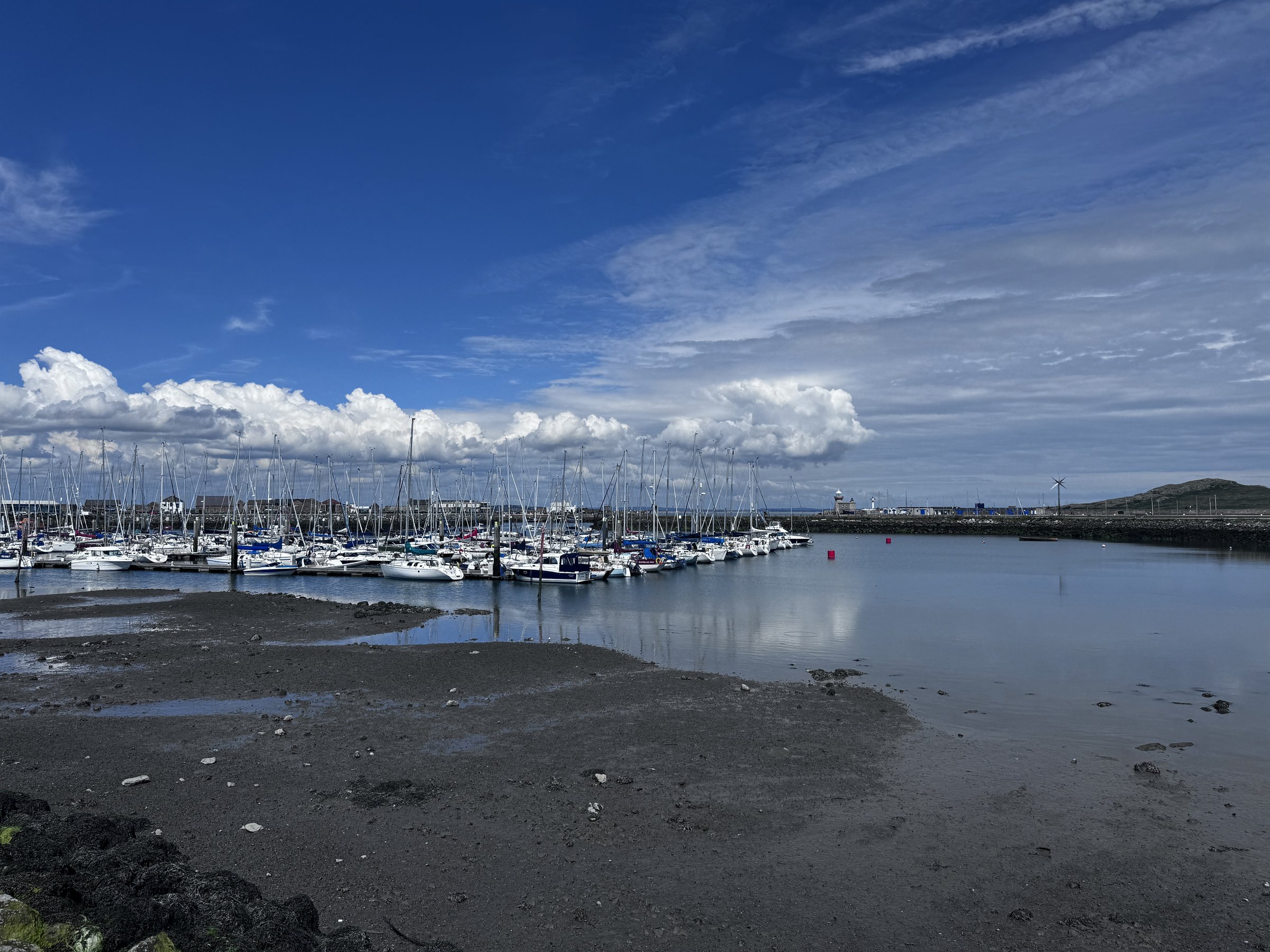 Marina at low tide