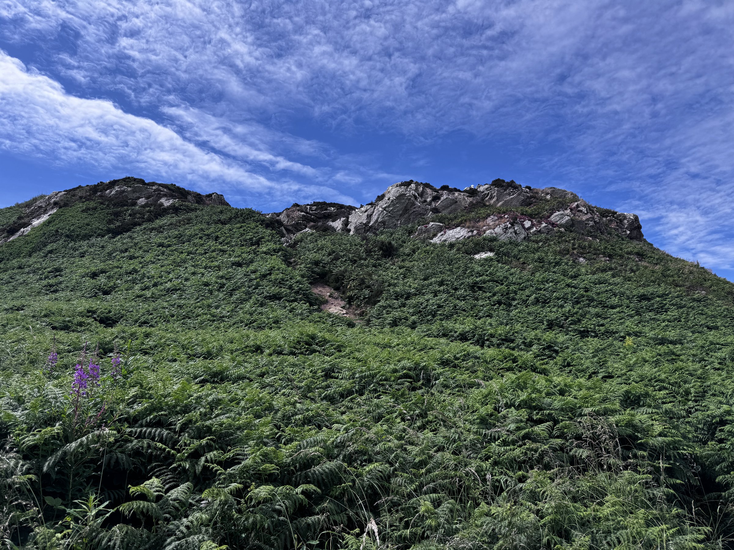 Headland