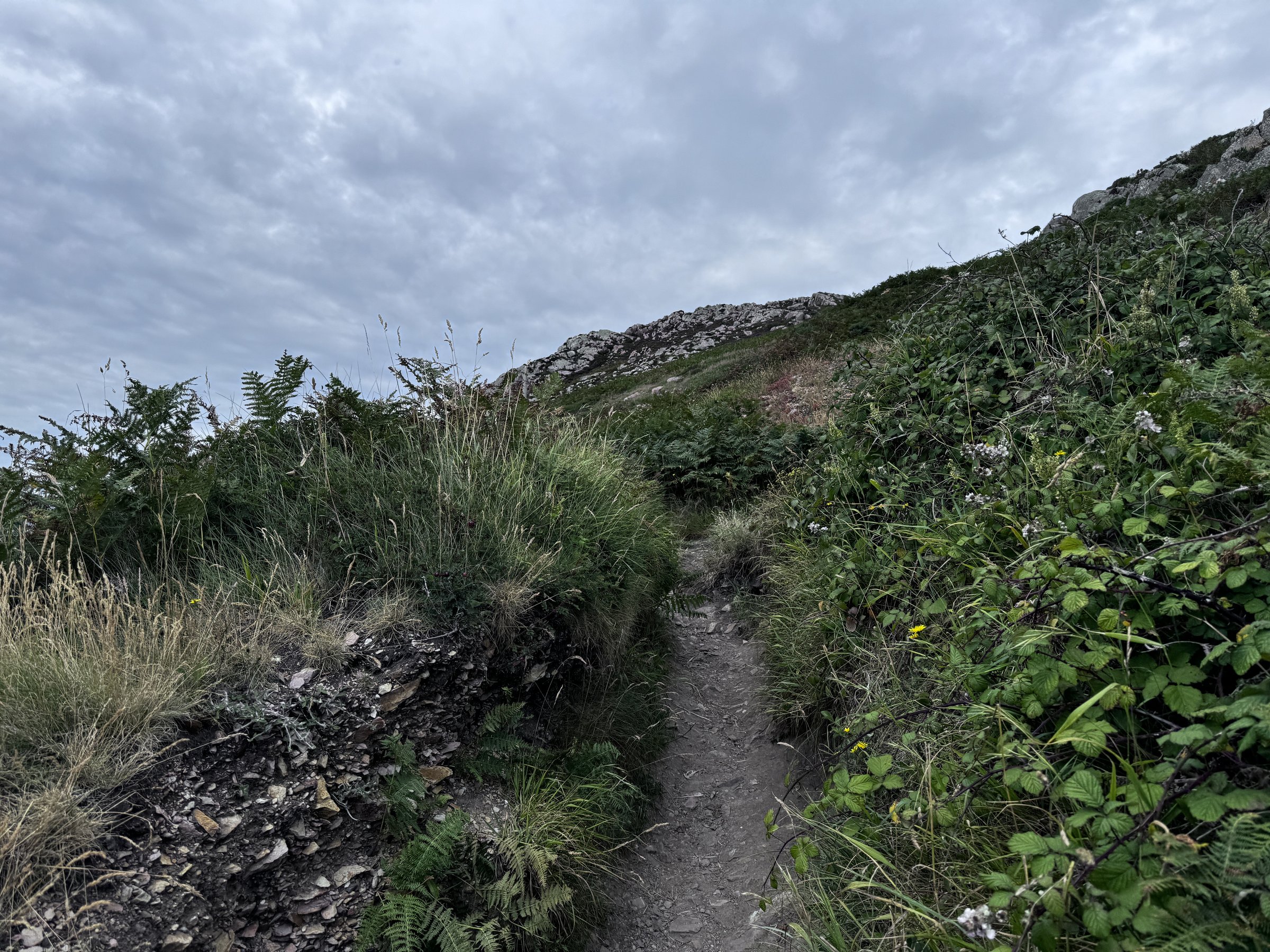 Up the headland