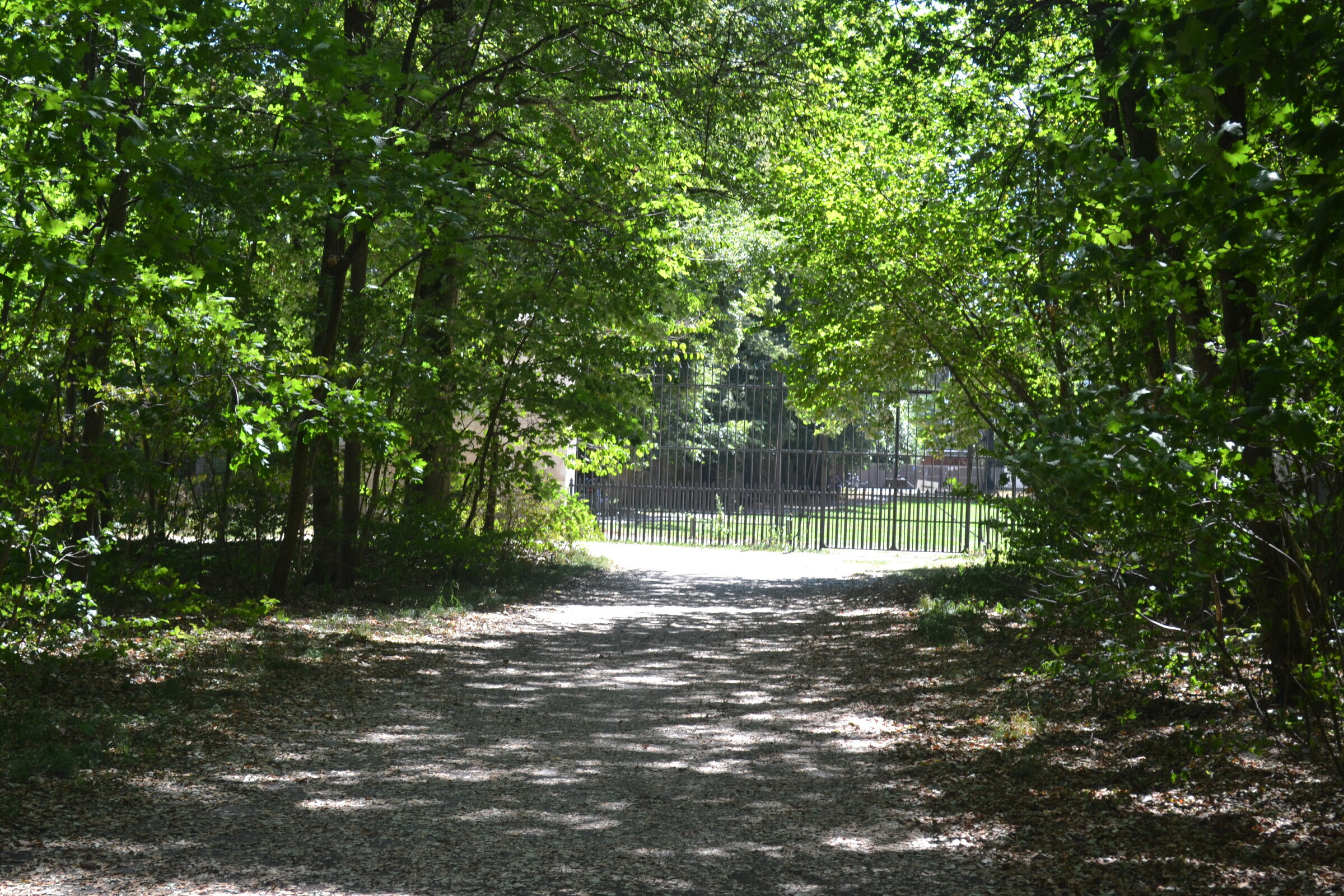 Schlosspark Nymphenburg